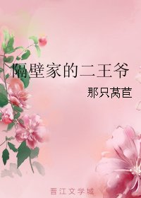 隔壁家的二王爷