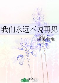 我们永远不说再见